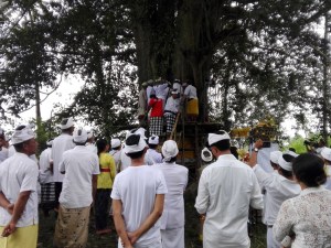 Pura Payogan Dalem Tengaling Payangan Nunas Taru di Tunon Desa Pakraman Guliang Kangin