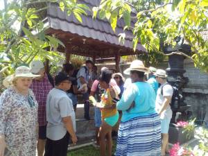A Day with Balinese, Kunjungan PPS Group South Afrika ke Subak Guliang